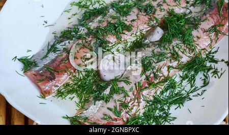 Acciughe al verde - anchovies with green sauce  from Piedmont. Stock Photo