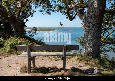 bench overlooking the sea on a bright summer day Stock Photo