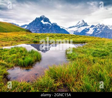 Dramatic summer view with a Mt. Schreckhorn and Wetterhorn on the background. Green morning scene in the Swiss Bernese Alps, Switzerland, Europe. Beau Stock Photo