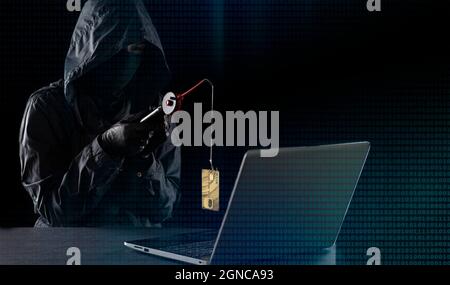 Internet fraud using computer technology, stealing money on the Internet, stealing credit card data. Hacker with a fishing rod, hacker caught a credit Stock Photo