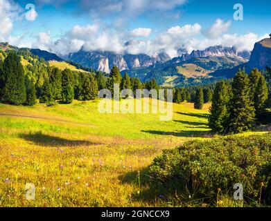 Sunny countryside scene in the Gardena valley. Colorful summer landscape in Dolomite Alps, view from Sella pass in National Park Odle Geisler. South T Stock Photo