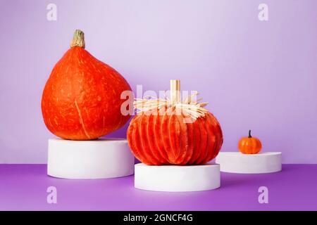 Halloween celebration. Various pumpkins, decarative and real pumpkins on white round podiums on purple background Stock Photo