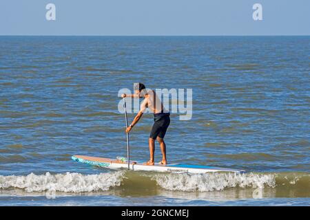 Male paddleboarder practicing the water sport standup paddleboarding / stand up paddle boarding / SUP along the North Sea coast Stock Photo