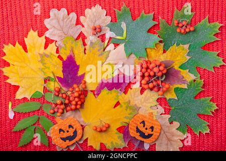 Pumpkin shape with a scary smile Halloween on a colorful autumn background of dried leaves, berries on a knitted red background. Halloween holiday tim Stock Photo