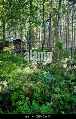 small barn in the forest in Uukuniemi, Finland Stock Photo