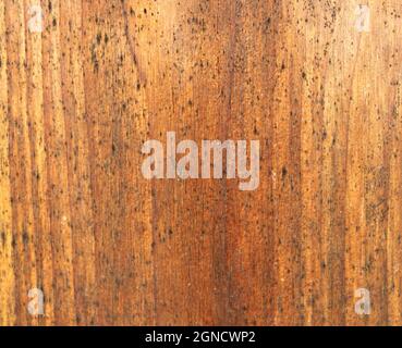 pine wood grain in a pleasant brown color Stock Photo