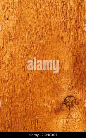 pine wood grain in a pleasant brown color Stock Photo