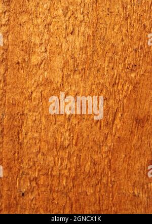 pine wood grain in a pleasant brown color Stock Photo
