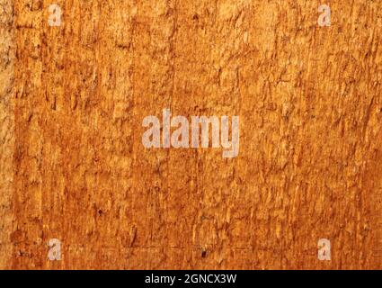 pine wood grain in a pleasant brown color Stock Photo