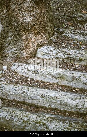 Old destroyed, ruined concrete steps Stock Photo