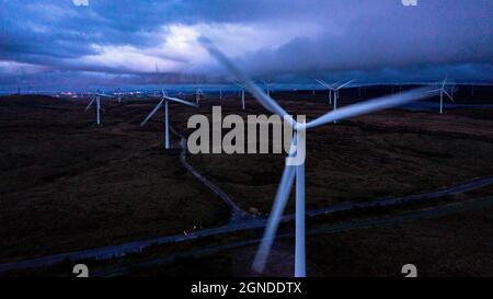 Whitelee Windfarm, Eaglesham, Scotland, UK. 24th Sep, 2021. PICTURED: Wind turbines spin and whirl in the gusting evening wind. It is the largest on-shore wind farm in the United Kingdom (second in Europe to Fântânele-Cogealac, in Romania) with 215 Siemens and Alstom wind turbines and a total capacity of 539 megawatts (MW), with the average of 2.5 MW per turbine. Whitelee was developed and is operated by ScottishPower Renewables Credit: Colin Fisher/Alamy Live News Stock Photo