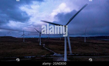 Whitelee Windfarm, Eaglesham, Scotland, UK. 24th Sep, 2021. PICTURED: Wind turbines spin and whirl in the gusting evening wind. It is the largest on-shore wind farm in the United Kingdom (second in Europe to Fântânele-Cogealac, in Romania) with 215 Siemens and Alstom wind turbines and a total capacity of 539 megawatts (MW), with the average of 2.5 MW per turbine. Whitelee was developed and is operated by ScottishPower Renewables Credit: Colin Fisher/Alamy Live News Stock Photo