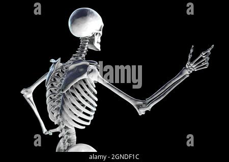 Skeleton hand pointing Stock Photo - Alamy