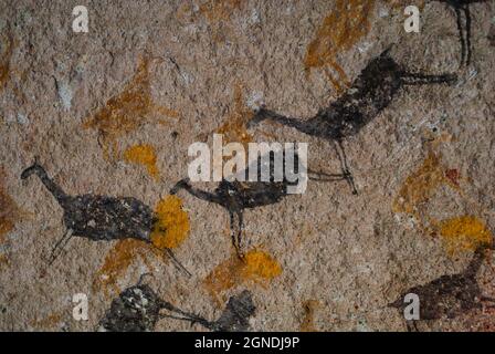 Cave of the Hands located in the southern province of Santa Cruz in the Patagonian Argentina. Stock Photo