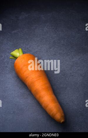 single carrot, a root vegetable isolated on a dark textured background Stock Photo