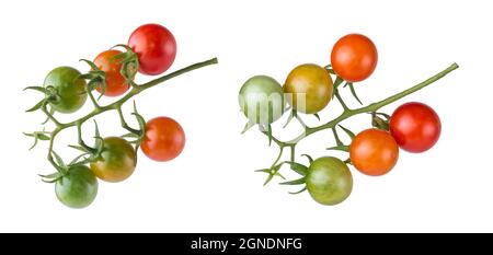 bunch of cherry tomatoes, set of red, yellow and green small round tomatoes with green stems isolated on white background Stock Photo