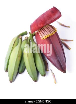 ash plantains or green raw banana with banana flower also known as banana blossom, vegetables isolated on white background, closeup top down view Stock Photo