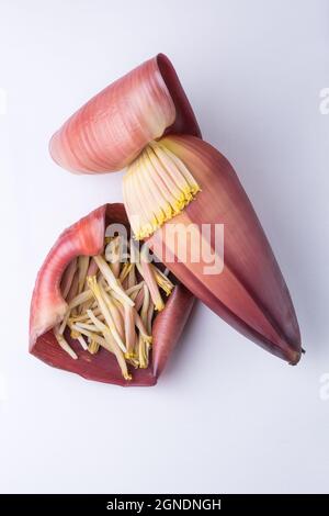 banana flower also known as banana blossom, vegetable on white surface, taken from above, closeup view Stock Photo