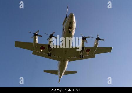 The underside of a JMSDF Lockheed UP-3C Orion Maritime reconnaissance aircraft as it lands at Naval Air facility, Atsugi airbase in Kanagawa, Japan. Stock Photo