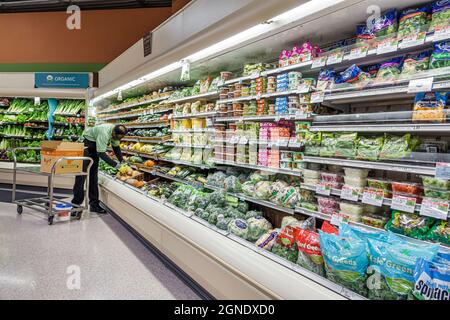 Stuart Florida,Publix grocery store supermarket food,interior inside refrigerated case salads produce,Black man male stocking shelves display sale Stock Photo