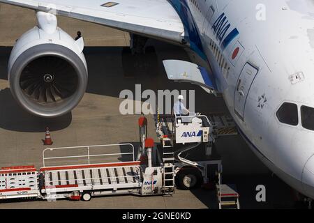 Tokyo, Japan. 24th Sep, 2021. ANA airplane on the tarmac of Haneda Airport Terminal 2.After the Tokyo 2020 Olympic and Paralympics ended, Haneda Airport returned to its quiet state while the State of Emergency in Tokyo continues Credit: SOPA Images Limited/Alamy Live News Stock Photo