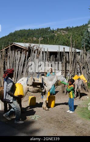 Villagers loading jerrycans of water on their horse at a water pumping station in rural northern Ethiopia. Stock Photo