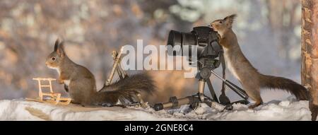 close up of two red squirrels with a sleigh and campfire and a camera in the snow Stock Photo