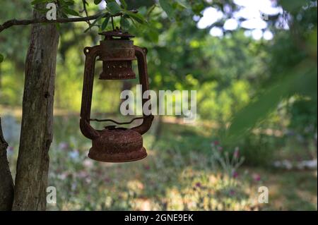 Old rusty kerosene lamp hanging from the tree Stock Photo