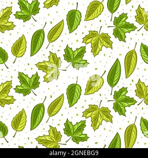 Vector Leaves Seamless Pattern, square repeating background for seasonal interior, poster with set of cut out illustrations of green various falling l Stock Vector