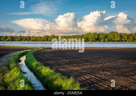 Dutch agricultural landscape in Province North Brabant with remarkable cumulonimbus clouds Stock Photo
