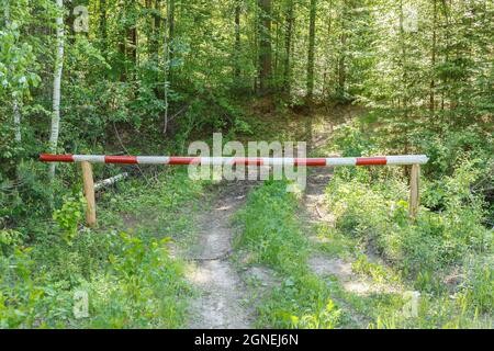 Closed barrier on the road in the forest. Entry into the forest is prohibited. Stock Photo
