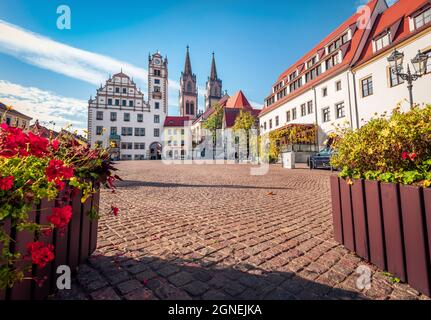 Stunning autumn view of Oschatz central square with Stadtverwaltung and St. Aegidien church. Colorful morning scene of Saxony, Germany, Europe. Travel Stock Photo