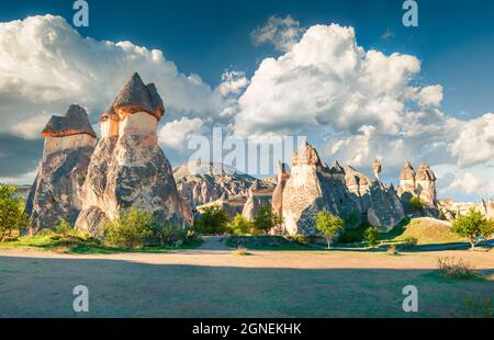 Impressive fungous forms of sandstone in the canyon near Cavusin ...