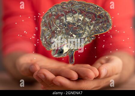 3 illustration of the human brain on the palm of a hand Stock Photo