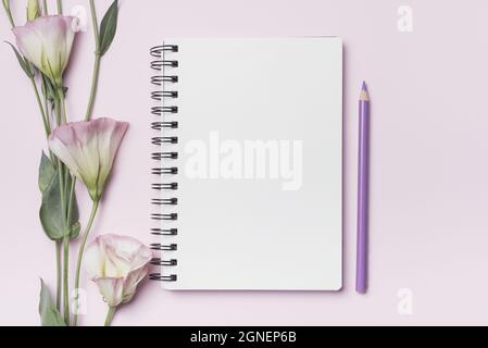 eustoma flowers with blank spiral notebook with purple pencil against pink background. High quality and resolution beautiful photo concept Stock Photo