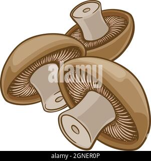 Mushroom Vegetable Cartoon Illustration Stock Vector