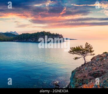 Lonely spruce tree on the edge of cliff on Mediterranean sea. Dramatic sunrise in small bay near the Tekirova village, District of Kemer, Antalya Prov Stock Photo