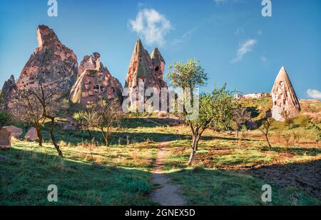 Unbelievable spring scene of Cappadocia. Early morning in the Uchisar Castle neighborhood. Sunrise in famous Uchisar village, district of Nevsehir Pro Stock Photo