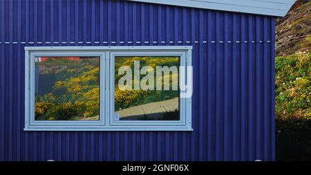 A metallic blue building whose window reflects nature,  Qaqortog, Greenland Stock Photo