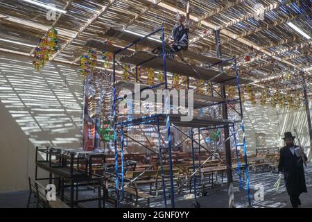 Inside a Sukkah being built outside the main synagogue of the  Bobov Hasidic group in Williamsburg, Brooklyn, New York City. Stock Photo