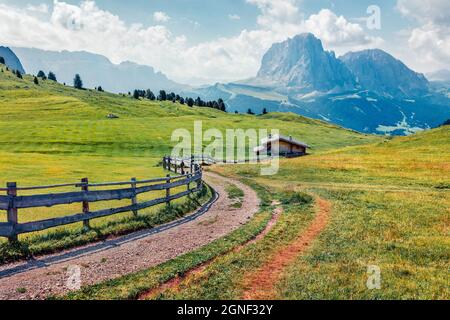 Sunny summer view of Sassolungo (Langkofel) range in National Park Dolomites, South Tyrol, Italy, Europe. Colorful morning scene of Gardena valley, Do Stock Photo
