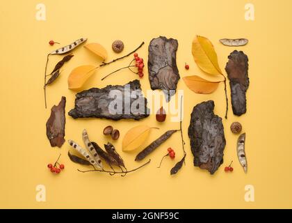 Autumn card with flat lay of tree bark pieces and fallen dry leaves on yellow background Stock Photo