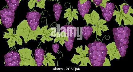 Purple red grape bunches on the vine. Branches with berries on a dense bush. On black background. Young vineyard. Sweet autumn harvest. Seamless Stock Vector