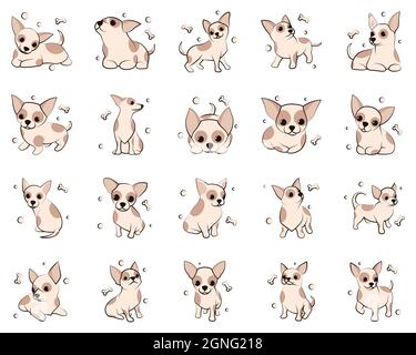Cute Cartoon Vector Illustration icon set of Chihuahua puppy dogs. It is flat design. Stock Vector