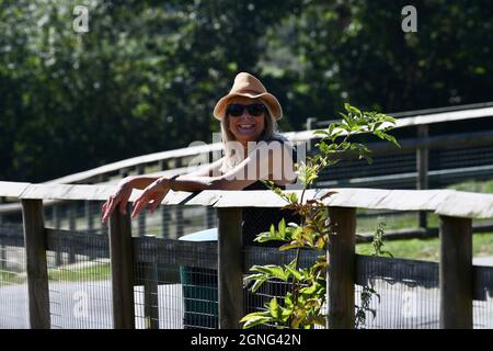 Port Lympne Animal Reserve, Kent UK Stock Photo