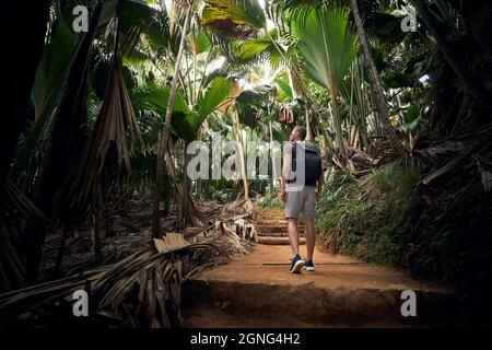 Young man with backpack discovering jungle. Traveler in tropical rainforest in Seychelles. Stock Photo