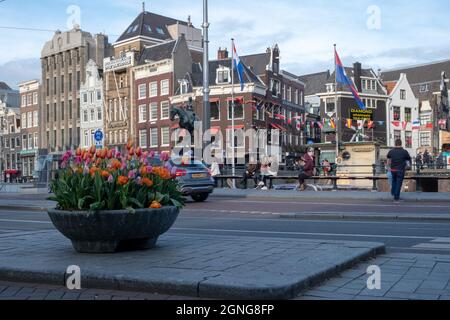 The equestrian statue of Queen Wilhelmina in Amsterdam is located on Rokin street, at the corner with Langebrugsteeg alley Stock Photo