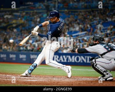 This is a 2021 photo of Kevin Kiermaier of the Tampa Bay Rays baseball  team. This image reflects the Tampa Bay Rays active roster as of Monday,  Feb. 22, 2021 when this image was taken. (Mary DeCicco/MLB Photos via AP  Stock Photo - Alamy