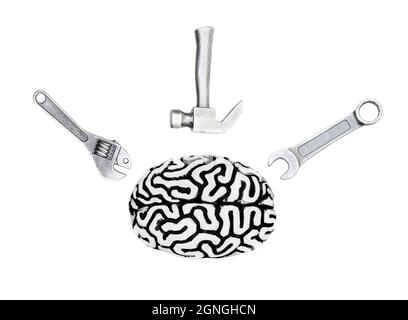 Top view of a human brain model with a kit of hand tools isolated on white. Creative brain recovery tools concept. Stock Photo