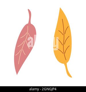 Yellowed leaves of a tree on an isolated background. Autumn time. Elements for design, logo, icon. Vector. Stock Vector